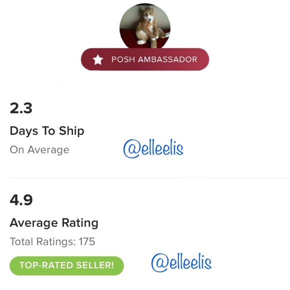 Authentic Tous Bear Pendant - Large - Picture 10 of 11